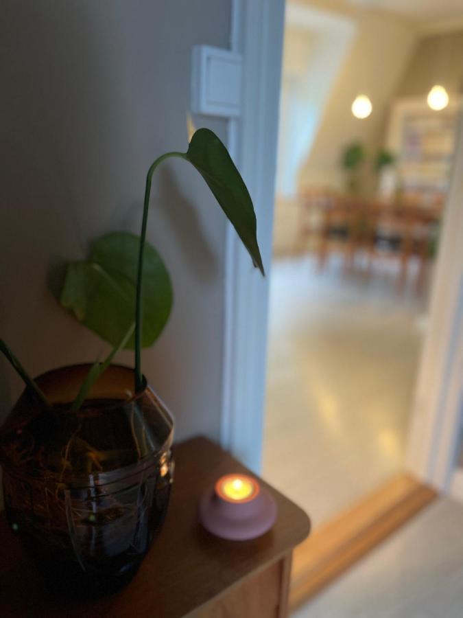 Charming Apartment In Alesund Center With Free Parking Экстерьер фото